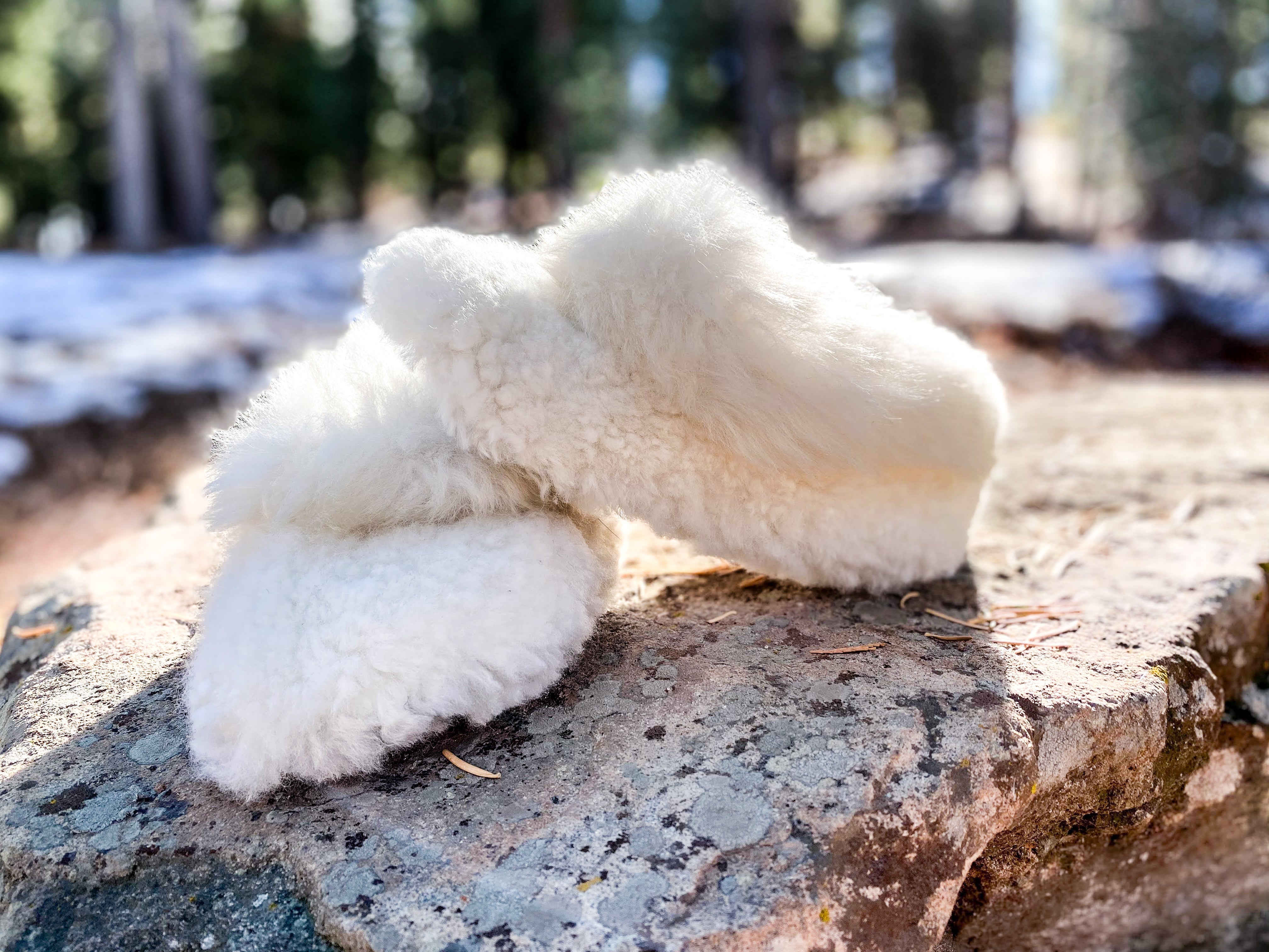 Sheepskin Slippers