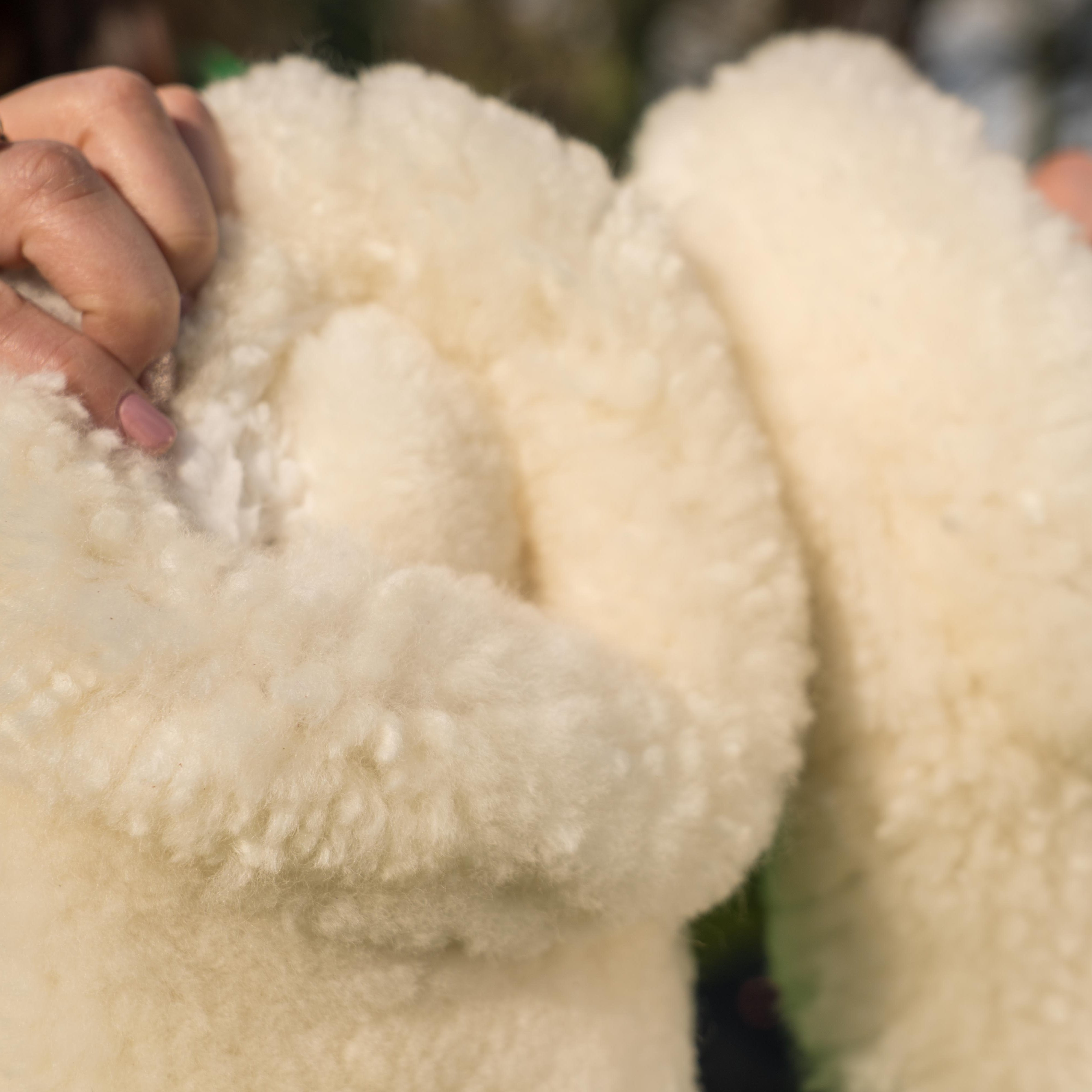 Woman White Sheepskin Slippers