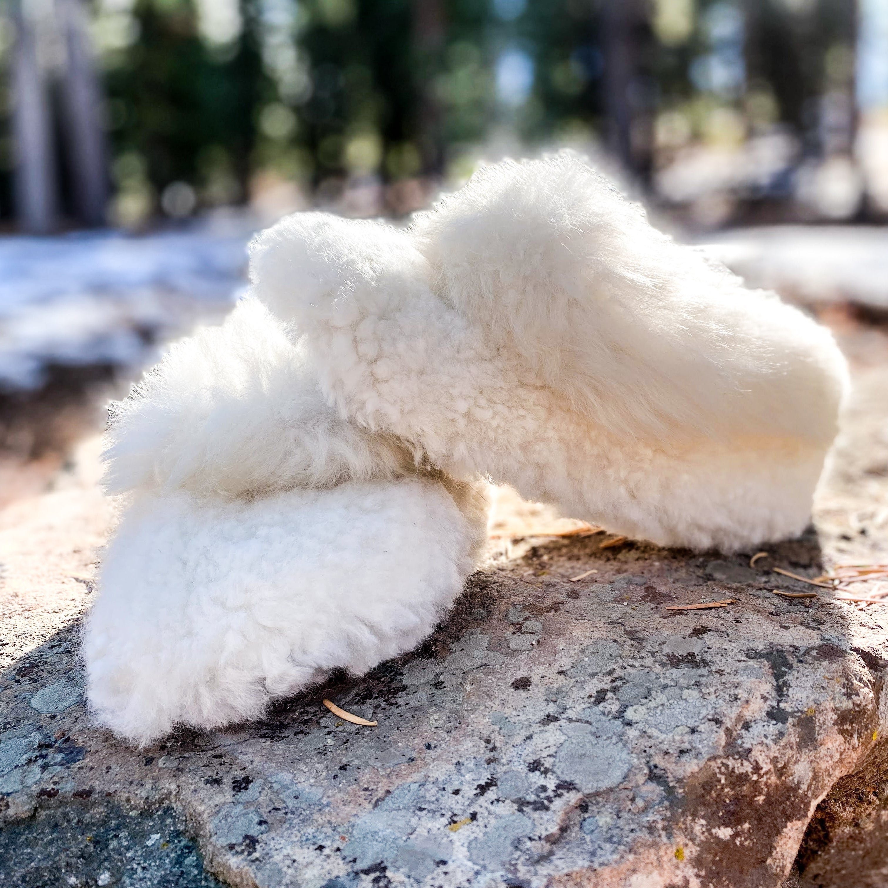 White sheepskin slipper on a rock